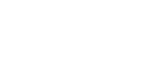 APEX — Airline Passenger Experience Association